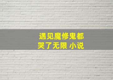 遇见魔修鬼都哭了无限 小说